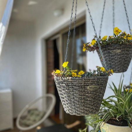 Apartmani Mia Palit 외부 사진