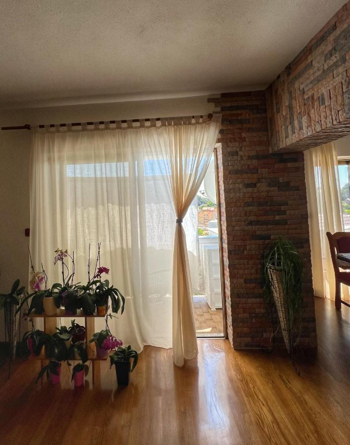 Apartmani Mia Palit 외부 사진